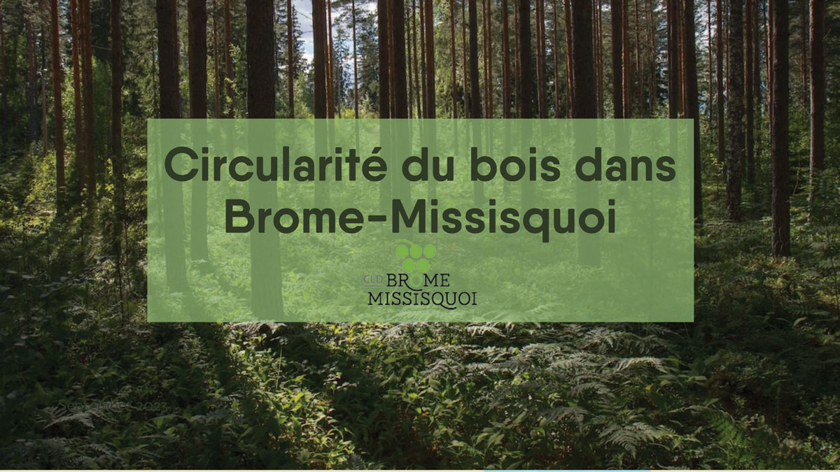 Presentation-EC-Festibois-2023-Circularite-du-bois-bm